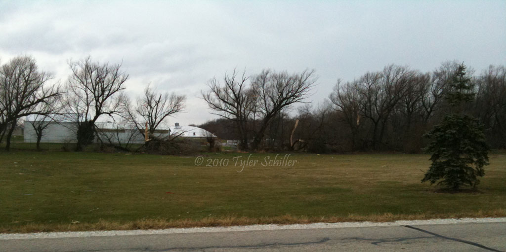 Tree Damage Tornado - Union Grove, Wisconsin