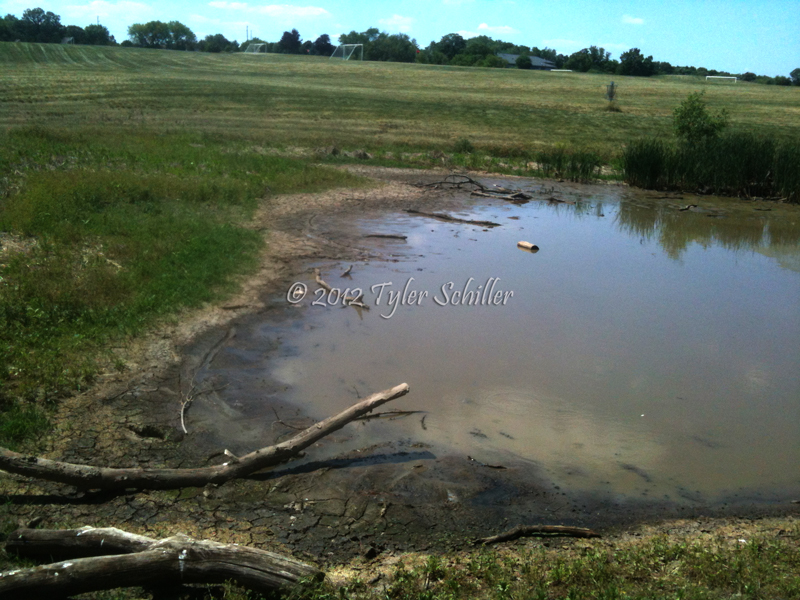 Wisconsin Drought - Empty Pond - June 2012
